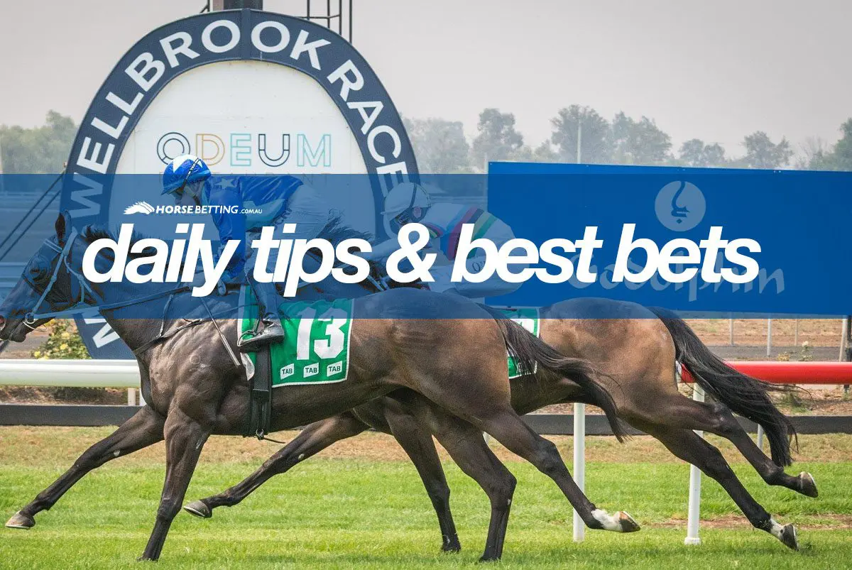 Muswellbrook Horse racing