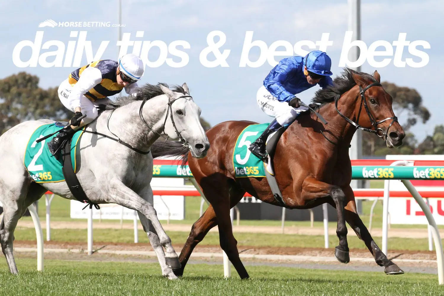 Geelong Horse Racing Tips