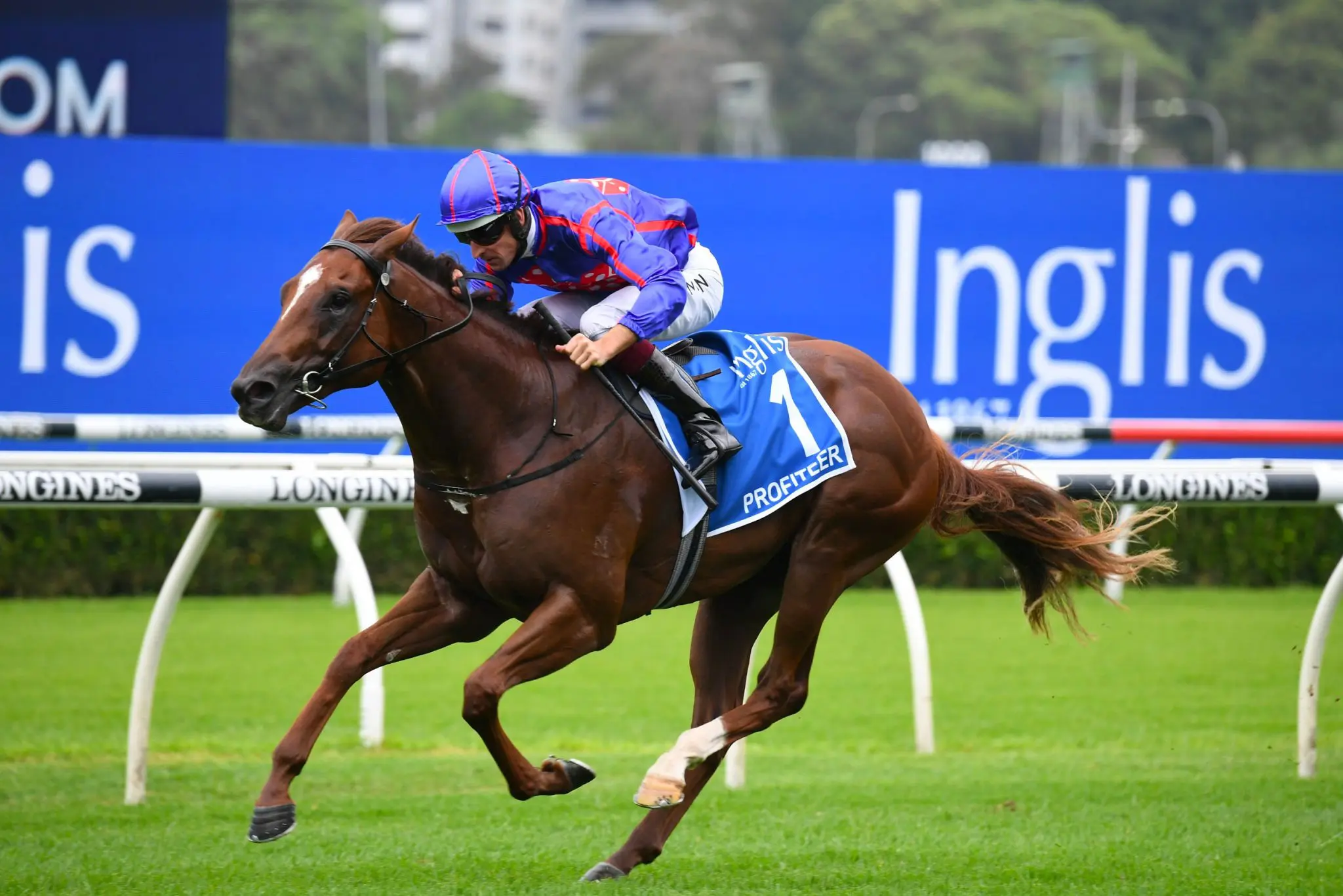 Profiteer at Randwick