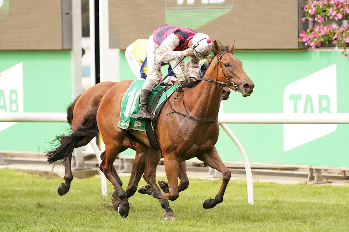 King Magnus winning Cranbourne Cup