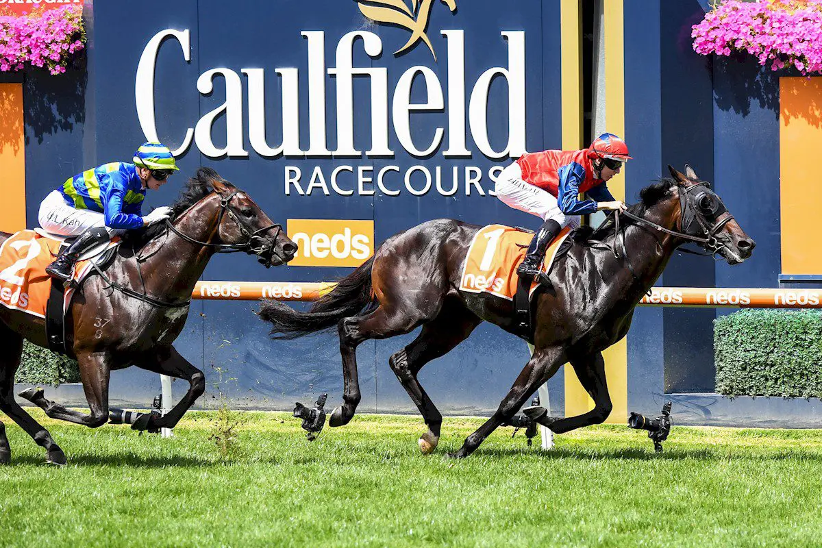 Finance Tycoon claims Zeditave Stakes