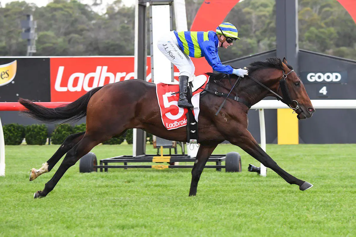 Sir Bailey Sir Bailey wins at Sandown
