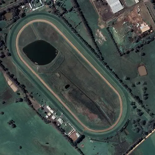 Hamilton Cup