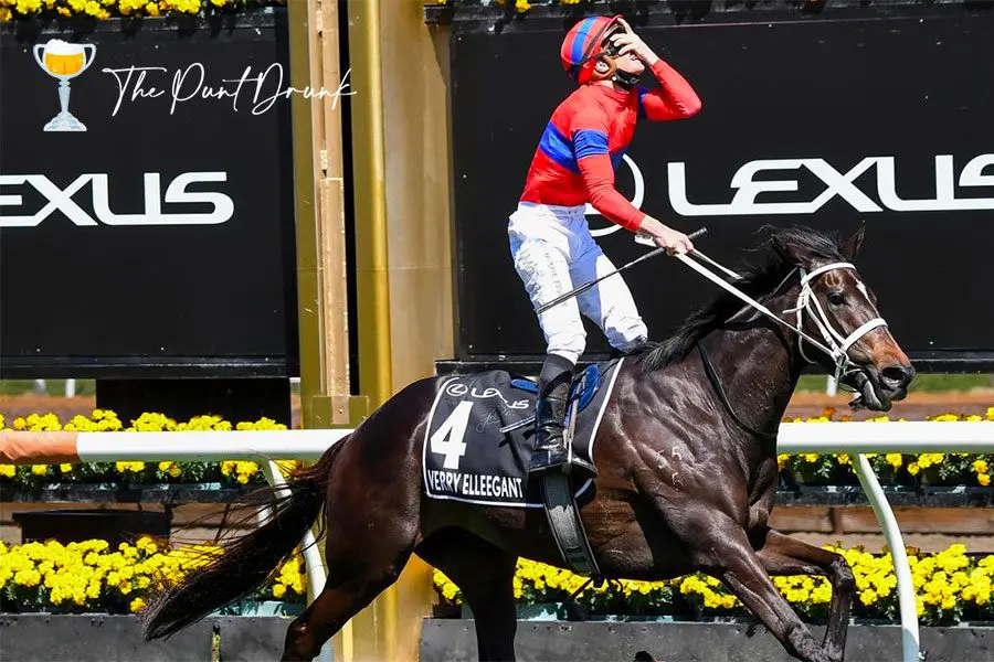 Verry Elleegant wins Melbourne Cup