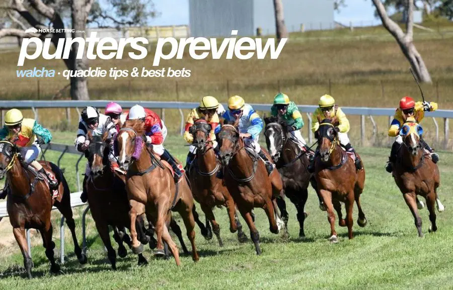 Walcha betting tips