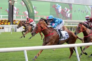 Sprint Cup test for Master Eight as FWD Champions Day looms large Master Eight