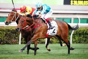 Fresh talent out to upstage Hong Kong’s elite on FWD Champions Day Romantic Warrior