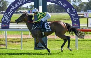 Cummings aiming to repeat the dose in Adrian Knox I'm Divine