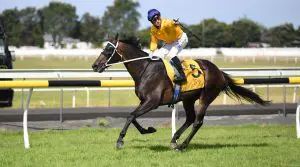 VERNANME---TARANAKI-CUP-6-2-2021---PHOTO-GRANT-MATTHEW-RACE-IMAGES-(1) Vernanme