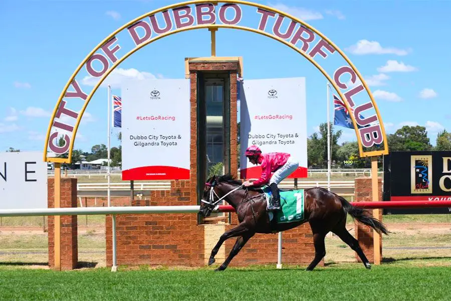 Last Bid Liams wins at Dubbo