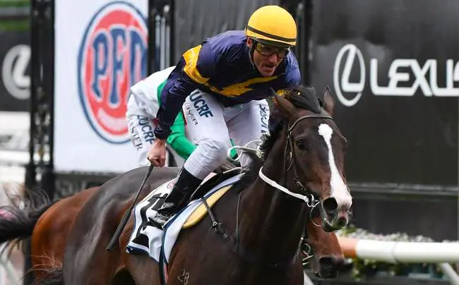 Makybe Diva Stakes Winners