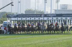 Hong Kong Cup