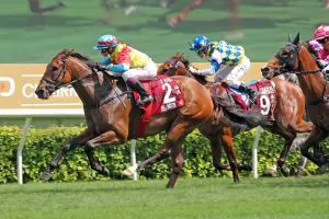 Wellington brilliance shines bright with back-to-back Chairman’s Sprint Prize success Wellington