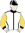 silks