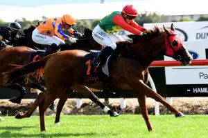 Te Rapa swansong for Two Illicit Two Illicit