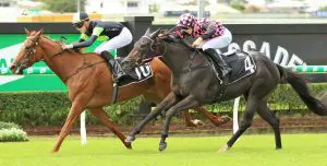 Teranga Hoysted 'happy' with both Canadian Dancer and Teranga