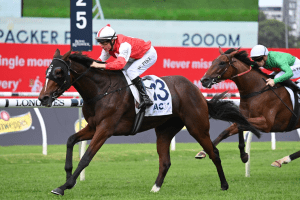 Verona Frank Packer Plate Verona causes upset in Frank Packer Plate