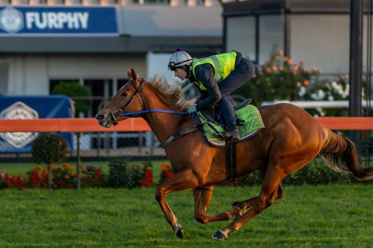 Brooklyn Hustle at Morphettville