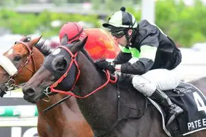 Private Eye - Queensland Guineas 2021 Private Eye in Queensland Guineas