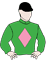 Democracy Manifest Silks