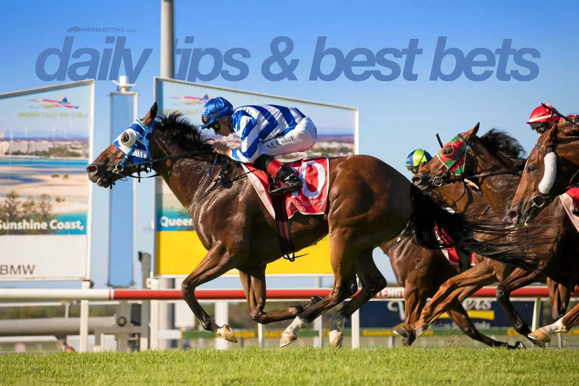 Wednesday Horse Racing