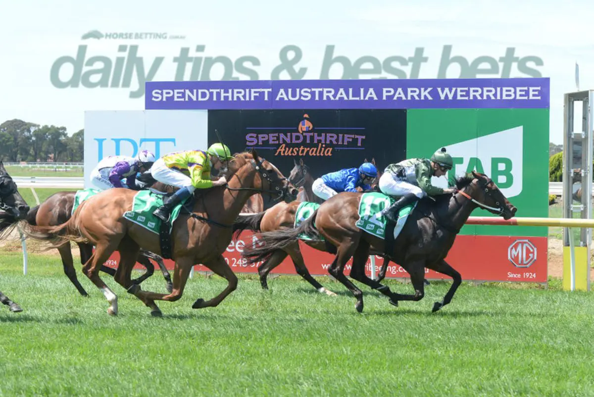Monday horse racing tips
