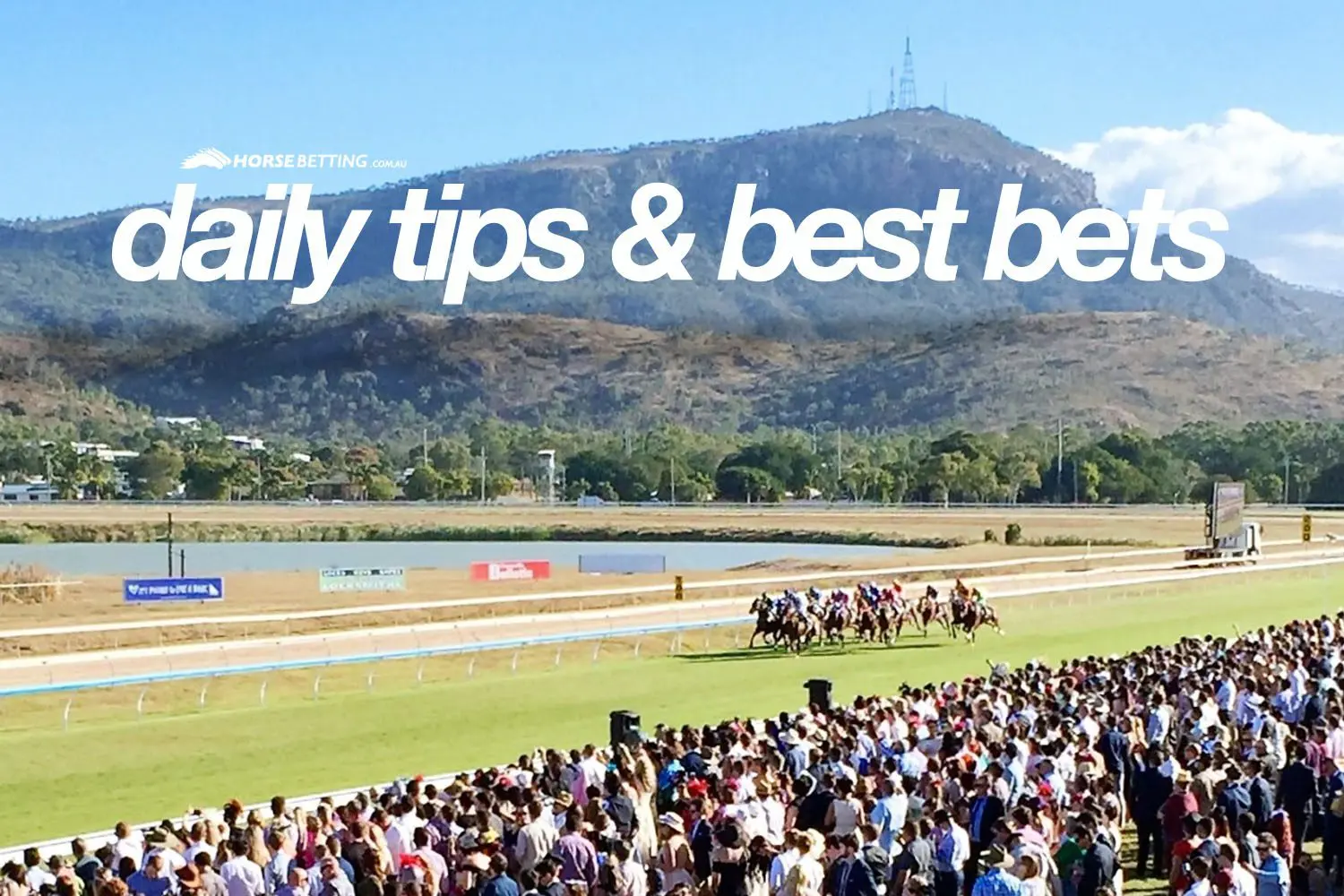 Friday Horse Racing
