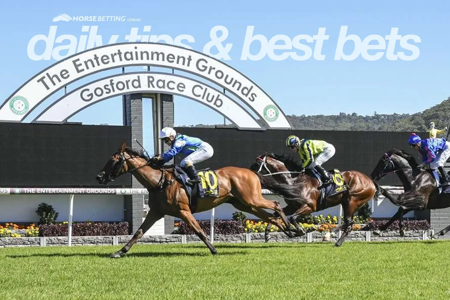 Thursday Horse Betting