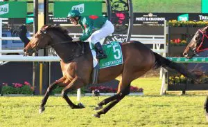 Alligator Blood 2022 Stradbroke