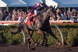 Highly Decorated (11-6-22) Highly Decorated will miss Darwin Cup due to injury