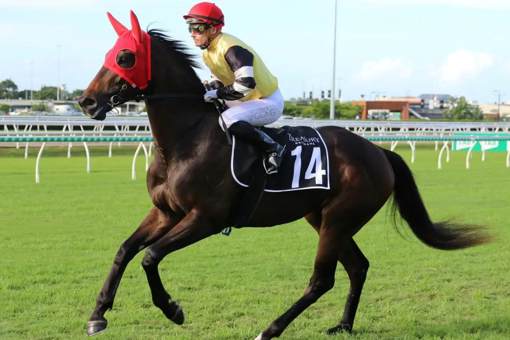 Kipling's Journey 2022 Queensland Guineas