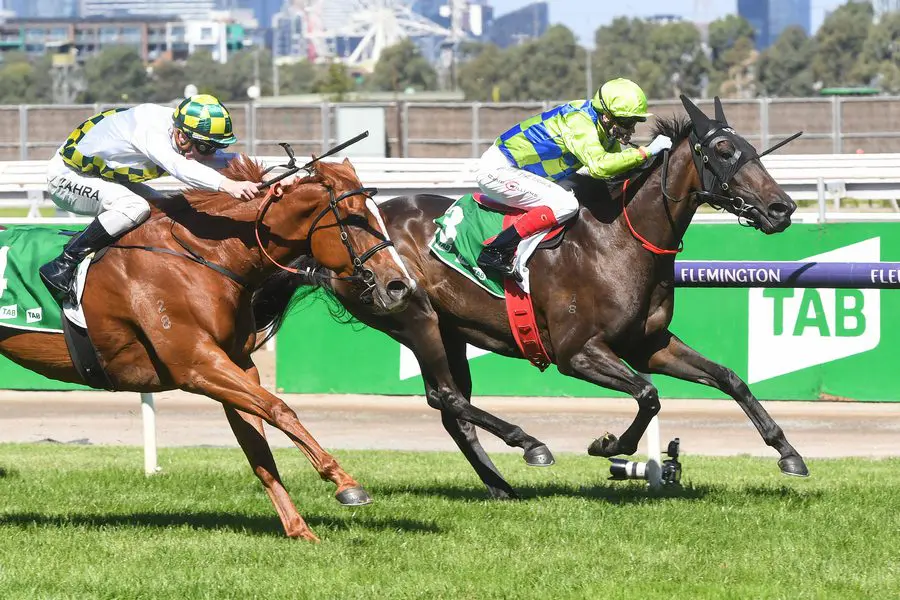 Barb Raider wins at Flemington