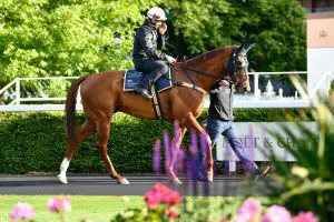 Nature Strip Royal Ascot