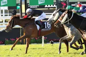 Sheeza Belter Sheeza Belter prevails in the JJ Atkins