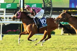 Startantes 2022 Tattersall's Tiara