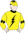 Top Honours Silks