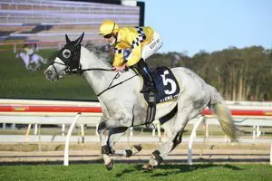 Berdibek wins the Wyong Gold Cup in 2021