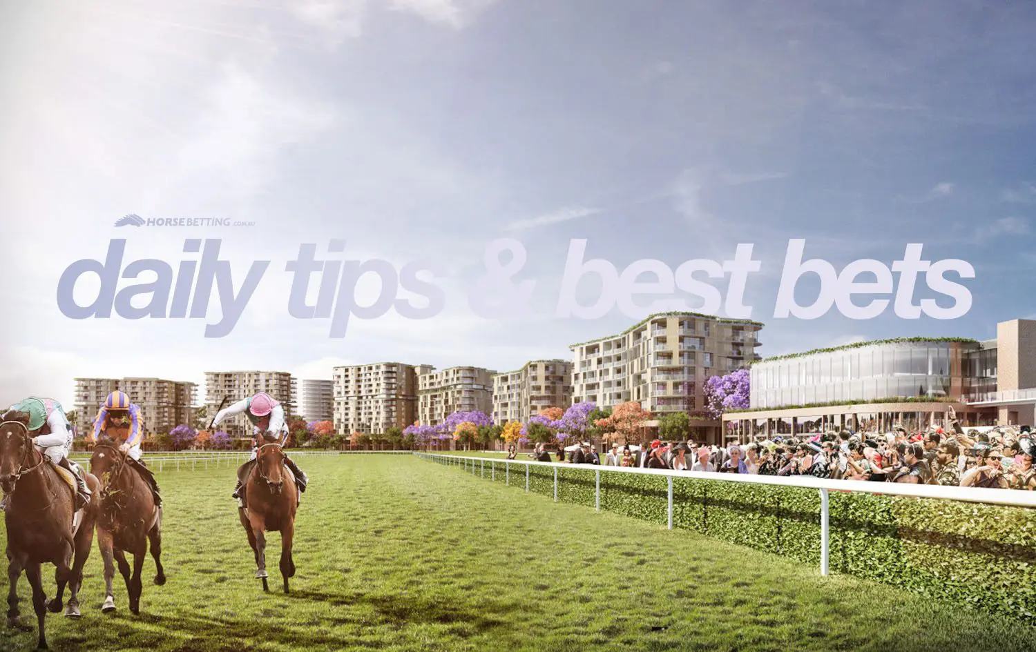 Wednesday Horse Racing