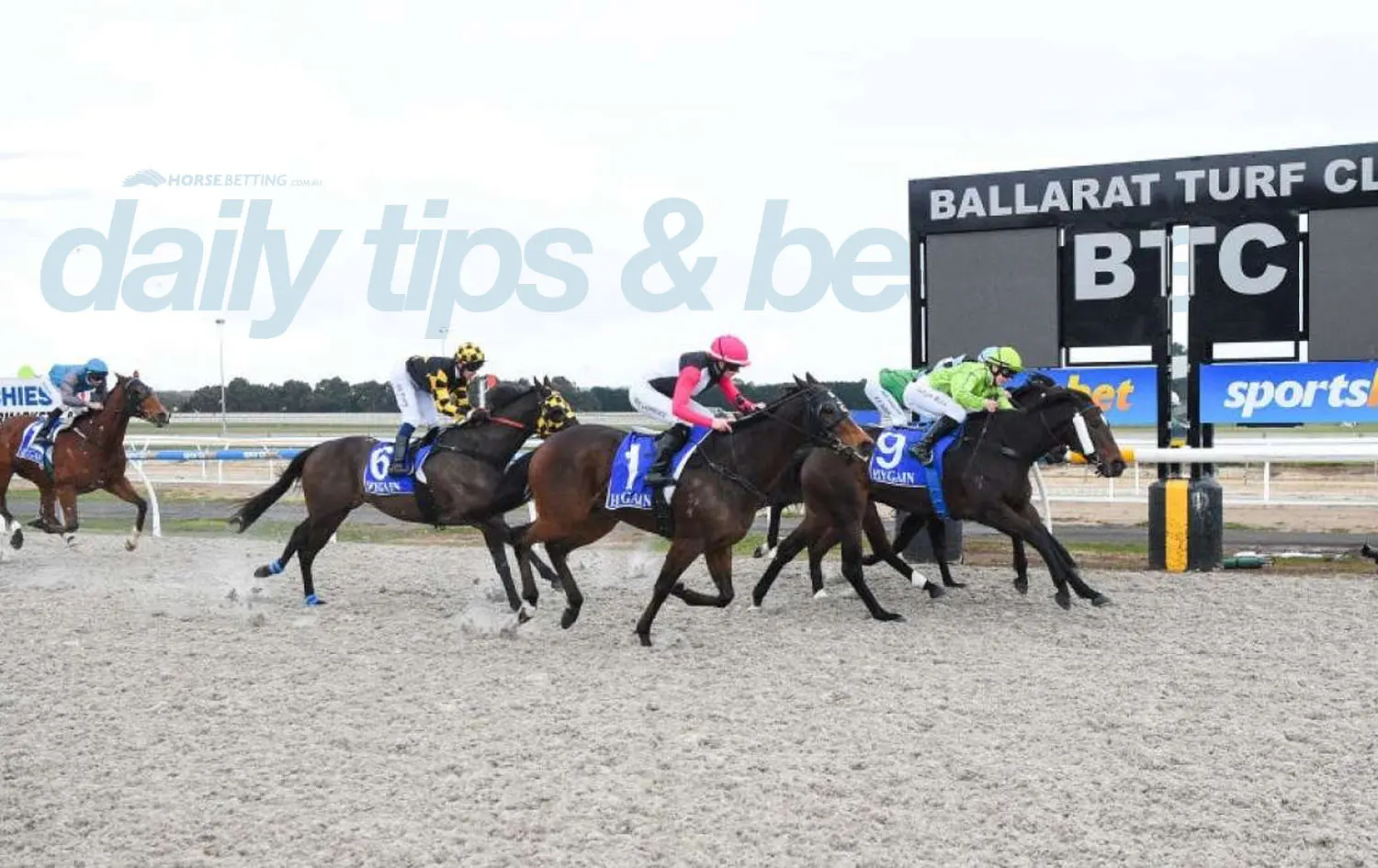 tuesday horse racing tips
