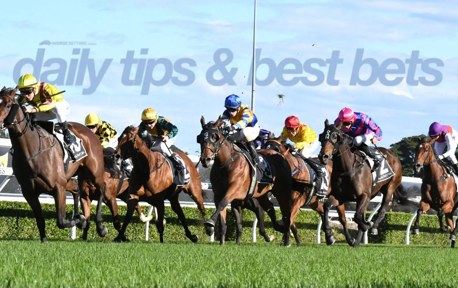 Wednesday HOrse rAcing