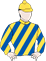 Southern Star silks