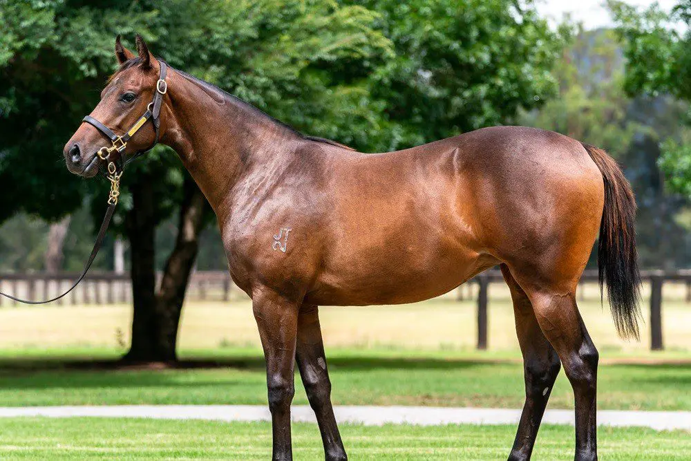 Merrily Yearling