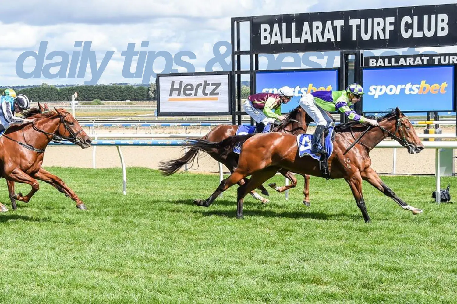 Tuesday Horse Racing