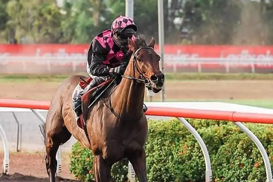 Our Destrier wins Adelaide River Cup