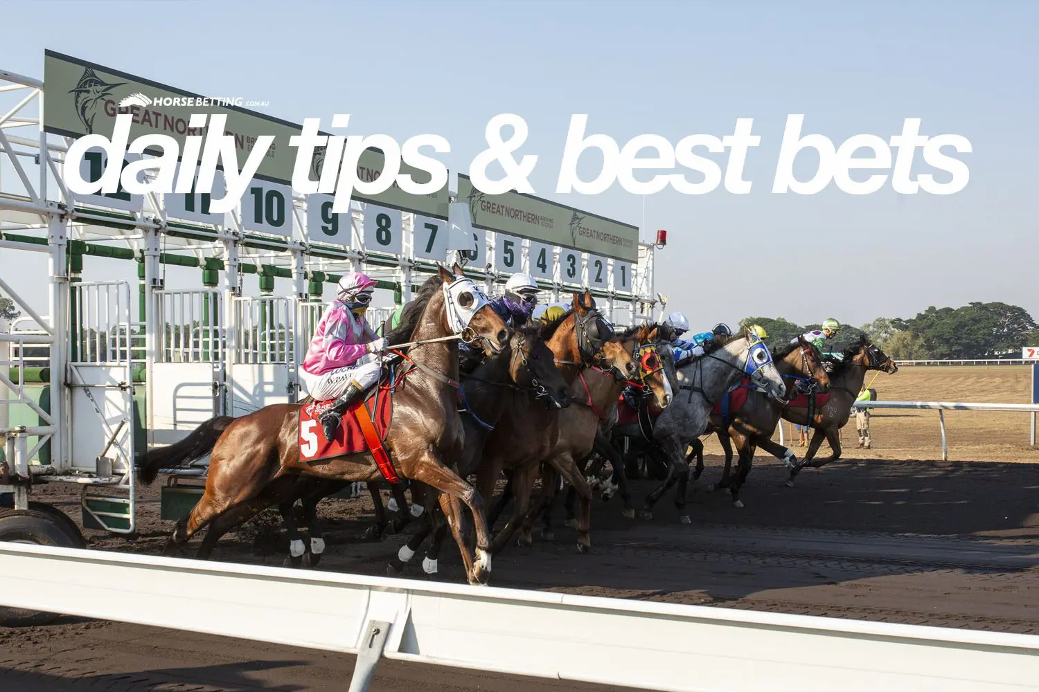 Wednesday Horse Racing