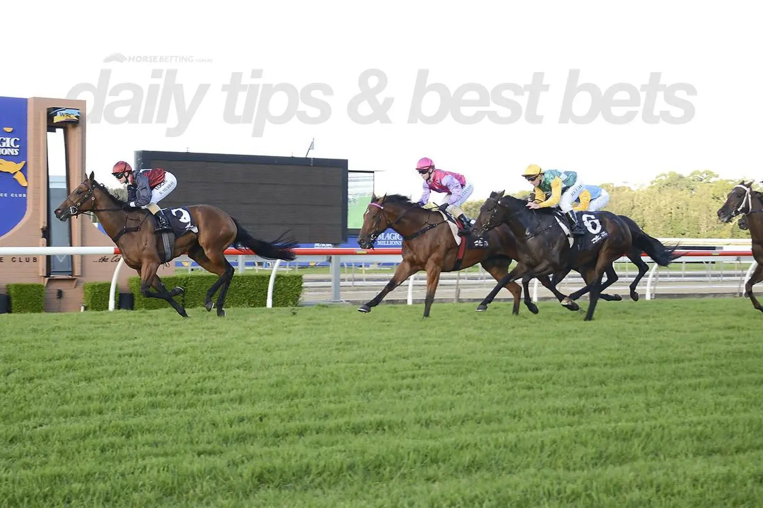 Tuesday HOrse RAcing