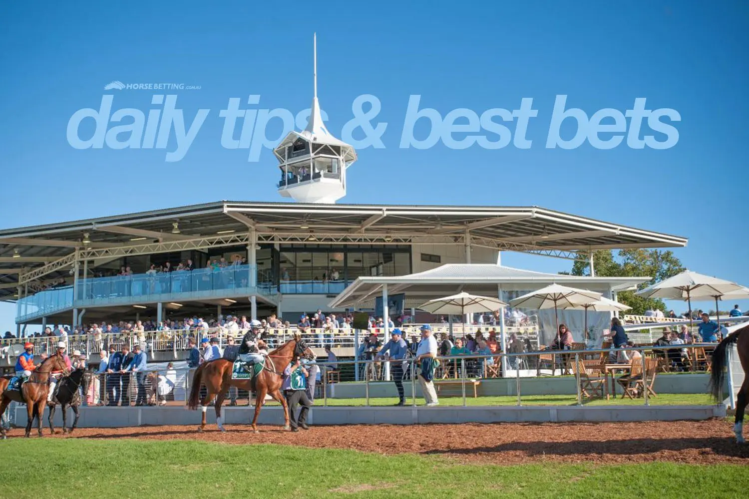 thoroughbred racing tips