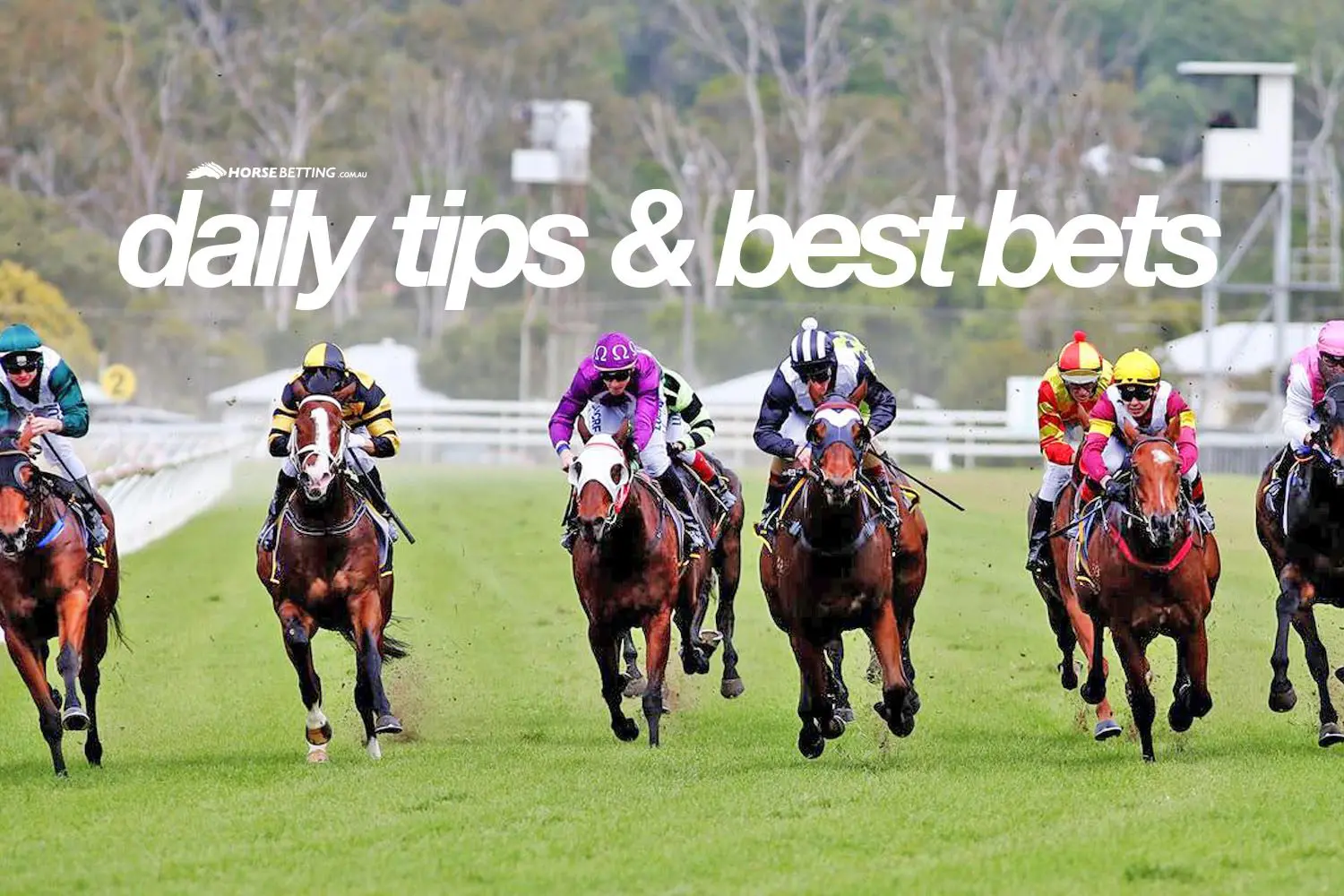 horse racing tips