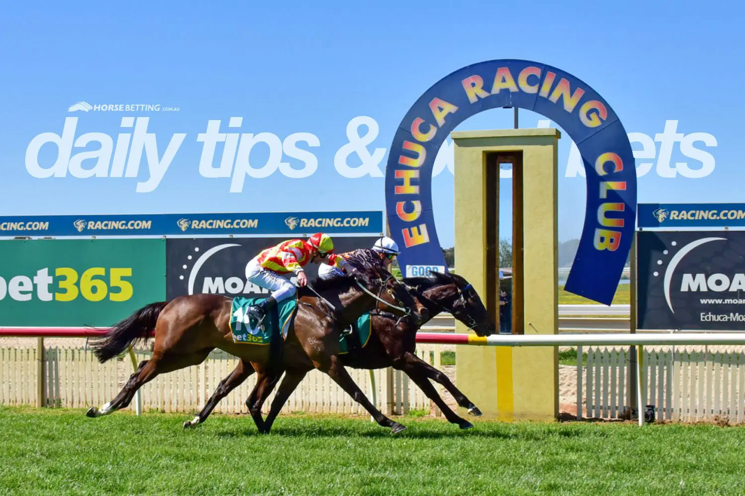 TGIF Horse Racing