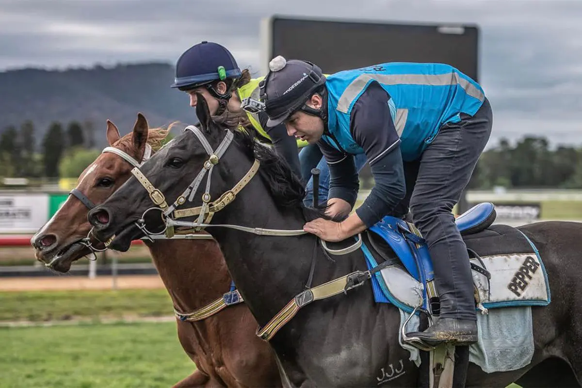 Former Canberra trainer Luke Pepper